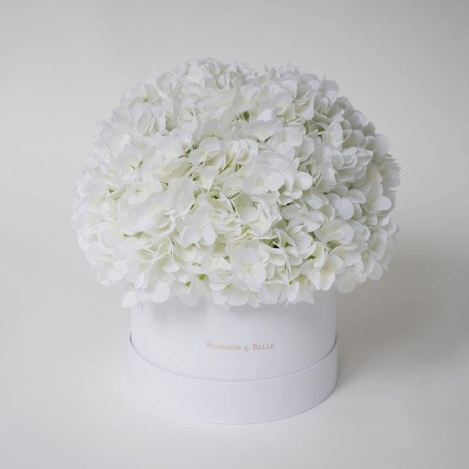 Hydrangea Beauty Hat Box – buy online or call 07879 129 266