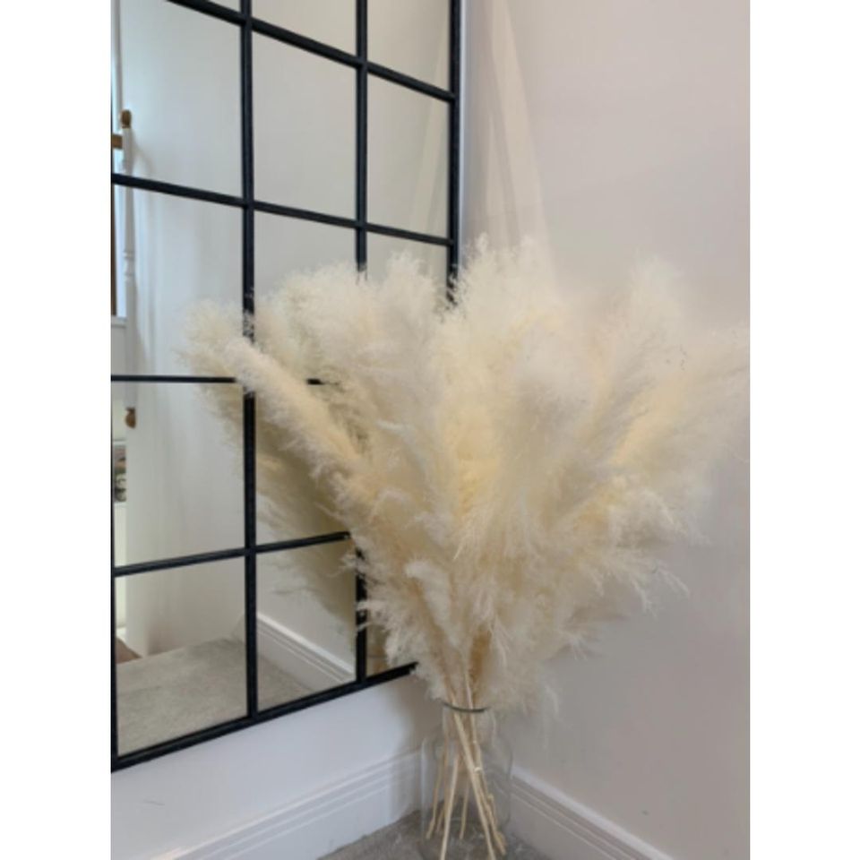 PAMPAS Single Stem - Cream