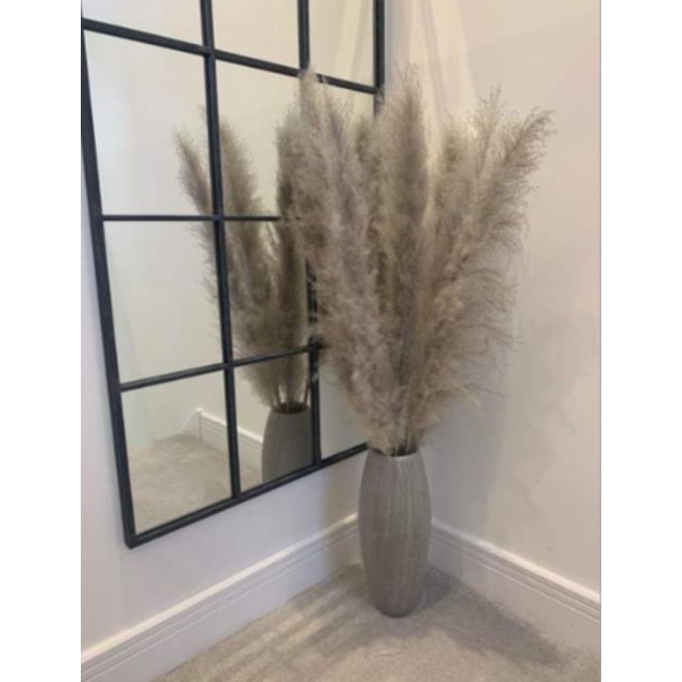 PAMPAS Single Stem - Grey